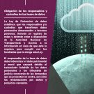 Protección de datos - Icaza, González-Ruiz & Alemán - 4