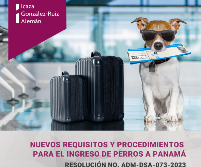 Entrada de perros a Panama 4